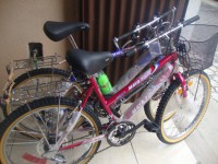 BICICLETAS MAYA TOUR